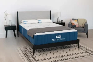 Bear Elite Hybrid