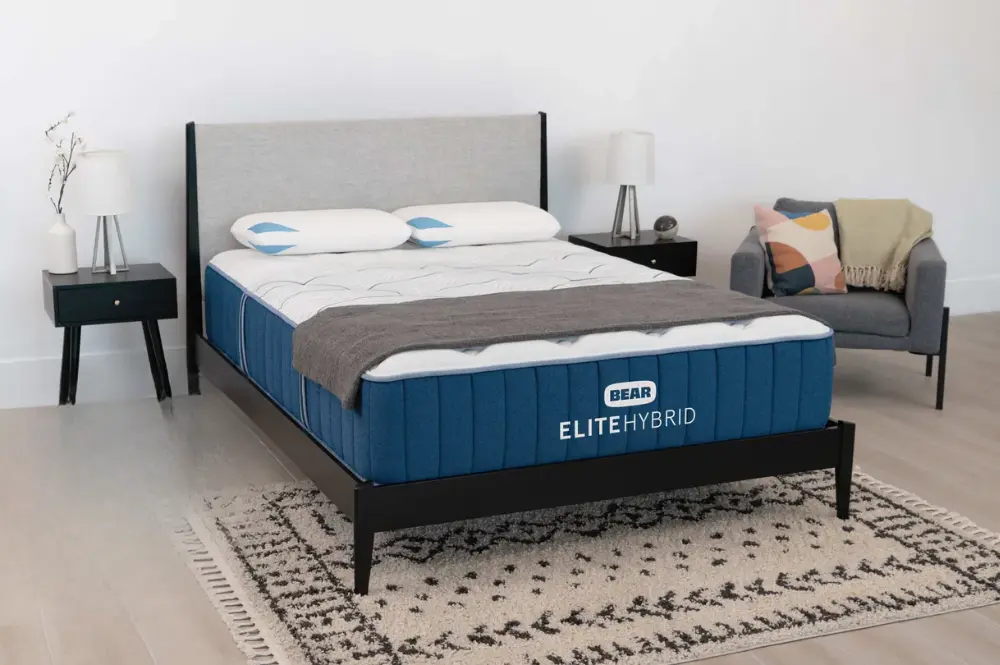 Bear Elite Hybrid